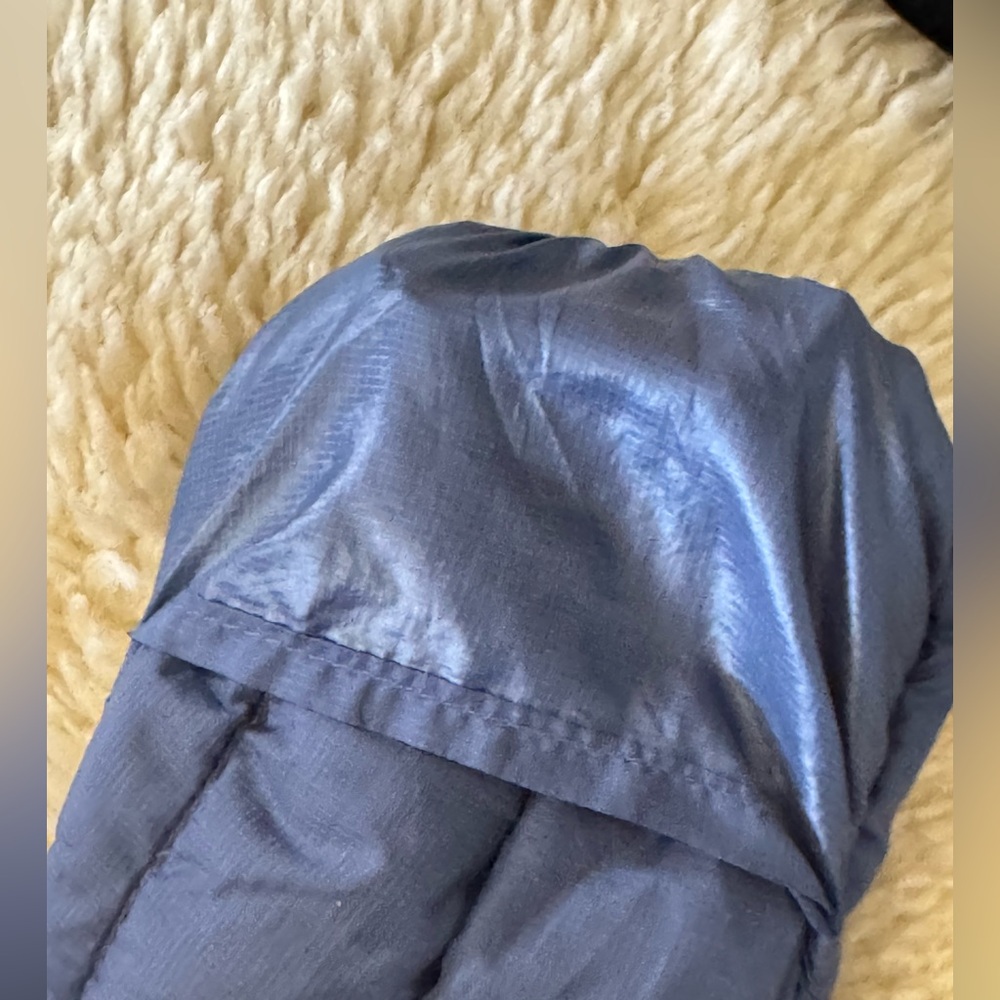 Patagonia Down Bunting - Picture 4 of 5